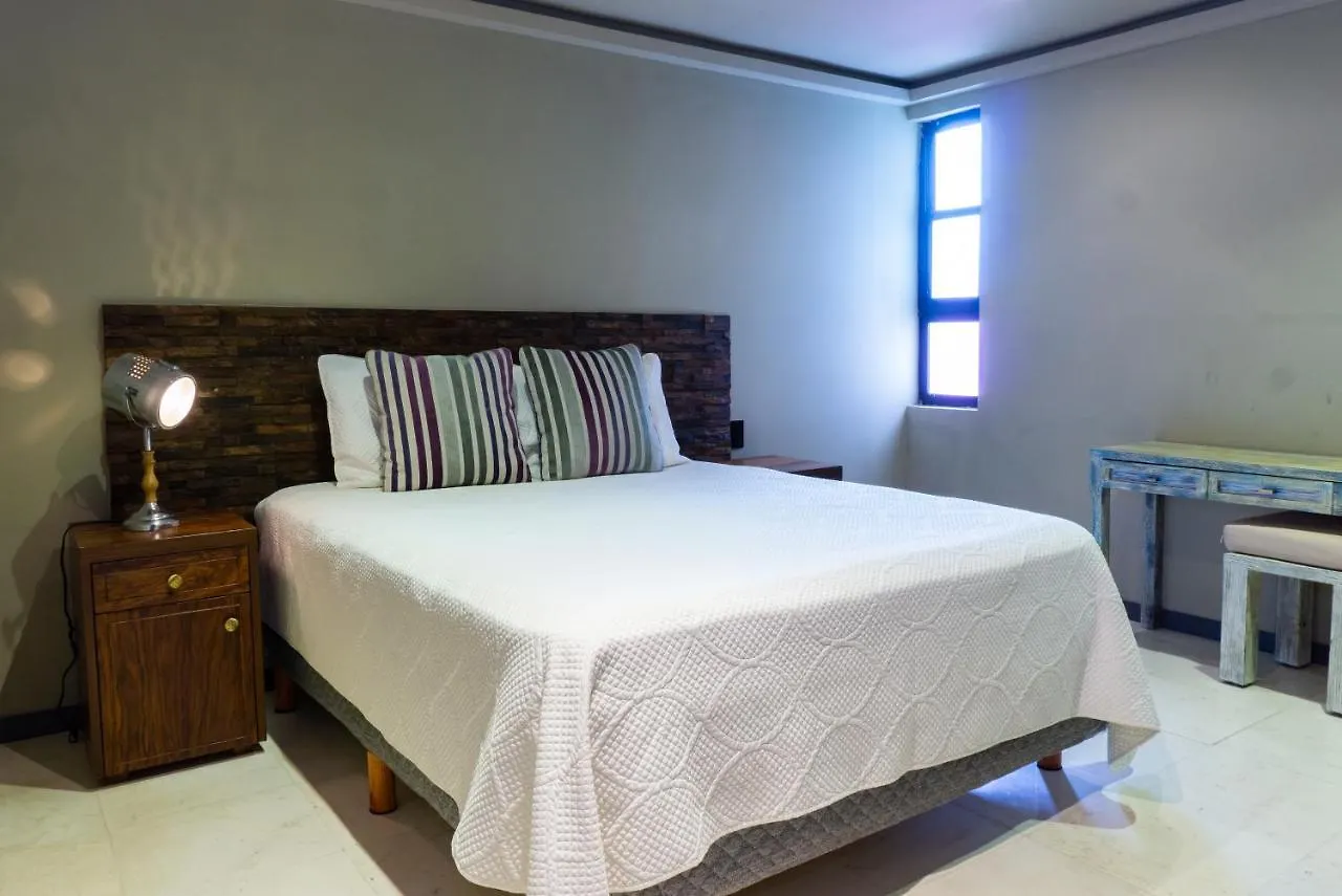 Oceanview Lotus 8 Playa Del Carmen Daire